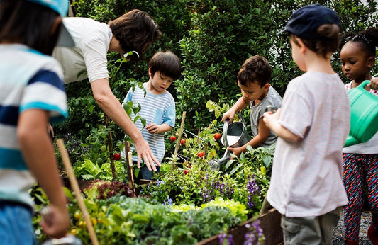 Exploring Nature: 10 Outdoor Classroom Ideas for Curious Minds - Playtopia, Inc.