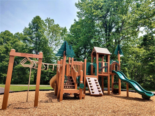 Whimsy Woods Playscape - Playtopia, Inc.